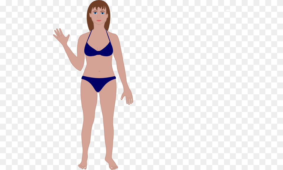 Female Human Body Clip Art, Bikini, Clothing, Swimwear, Adult Png