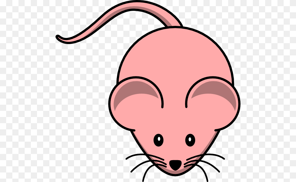 Female Mouse Svg Clip Arts Cartoon Mouse, Hardware, Computer Hardware, Electronics, Mammal Png