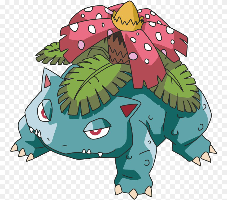 Female Venusaur Transparent Venusaur, Baby, Person, Face, Head Png