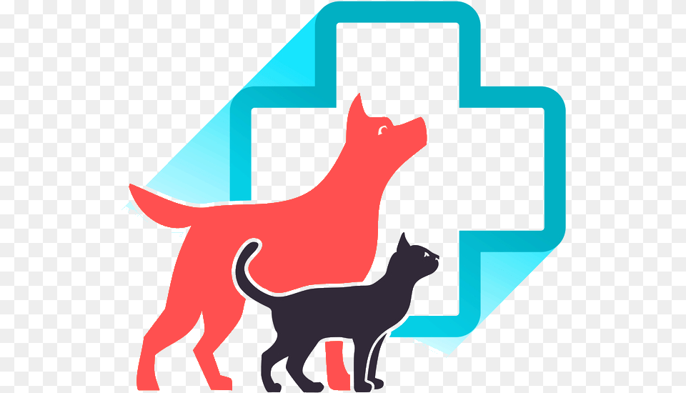 Female Veterinarian Jpg Free Cat Animal Clinic, Kangaroo, Mammal, Pig, Symbol Png