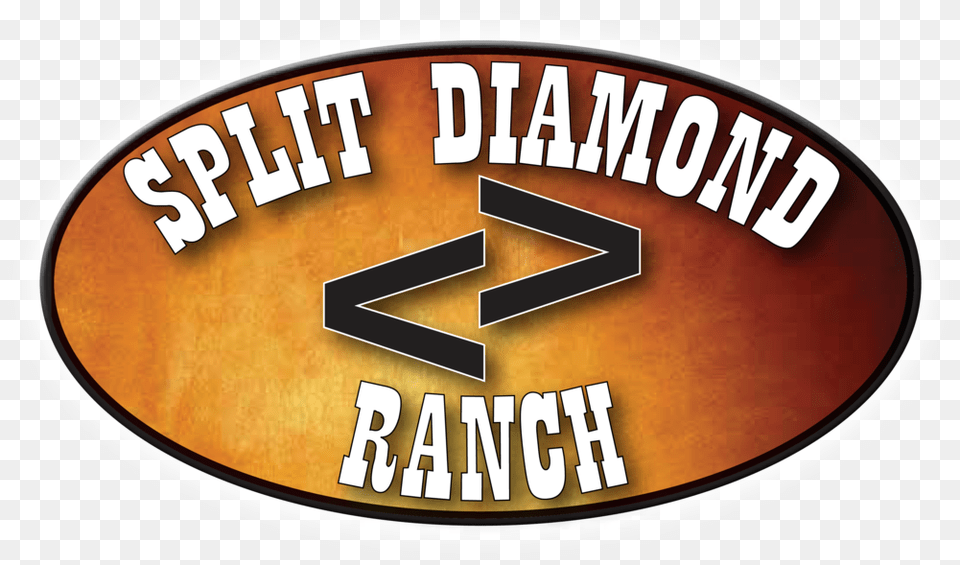Females U2014 Split Diamond Ranch Orange, Disk, Logo Free Png Download
