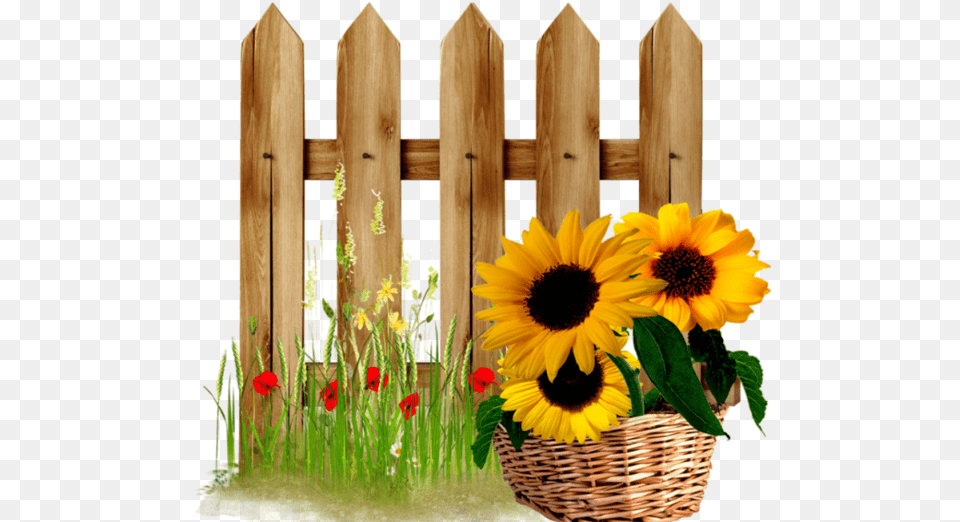 Fence Clipart Sunflower Transparent Free Sunflower Fence Clipart, Flower, Flower Arrangement, Plant, Flower Bouquet Png