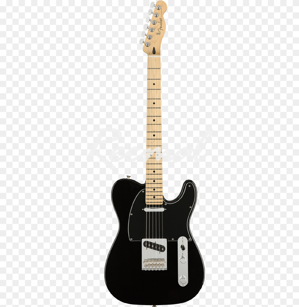 Fender Electric Guitar Player Series Telecaster Maple Fender Player Series Telecaster Black, Electric Guitar, Musical Instrument Png