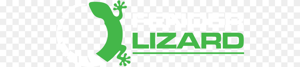 Fender Lizard Frog, Animal, Gecko, Reptile, Green Png Image