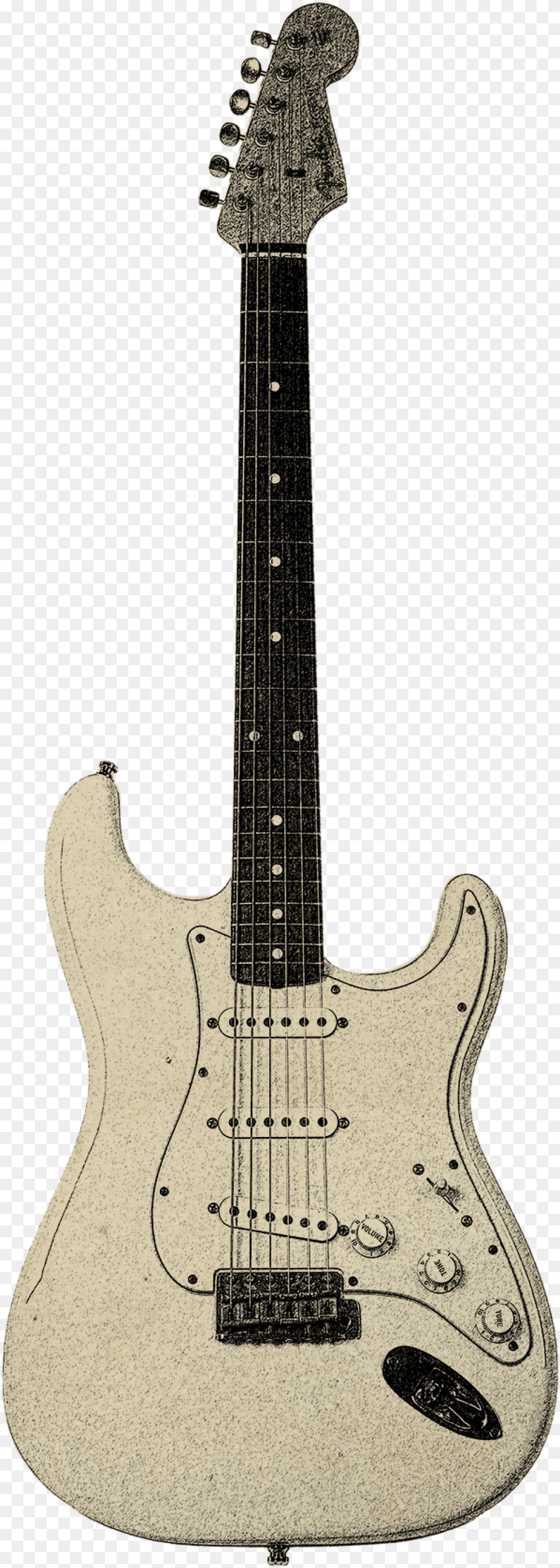 Fender Stratocaster Road Worn, Bass Guitar, Guitar, Musical Instrument Png Image