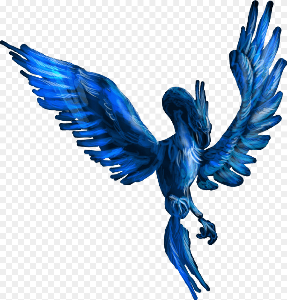 Fenix Blue Phoenix, Animal, Bird, Angel Png