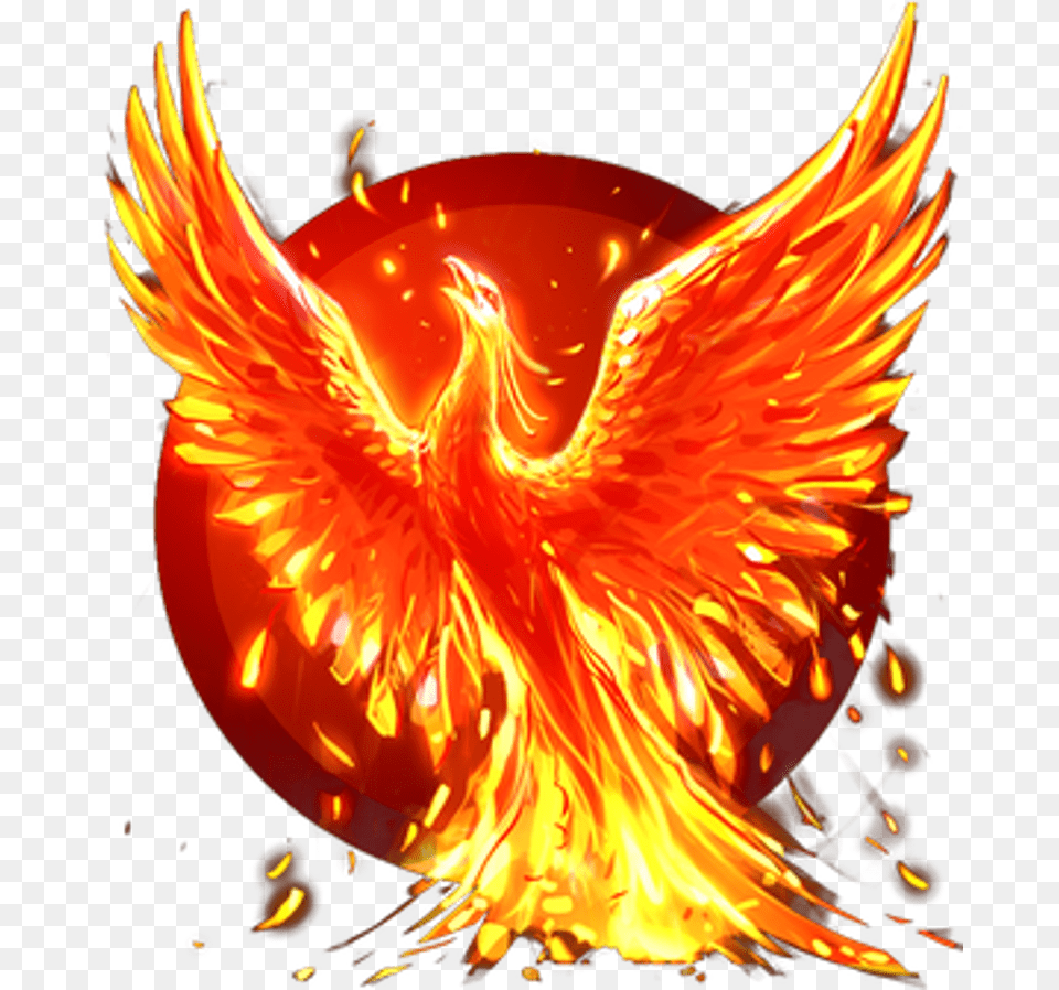 Fenix De Fogo Fenixfogo Twitter Phoenix, Fire, Flame Free Transparent Png