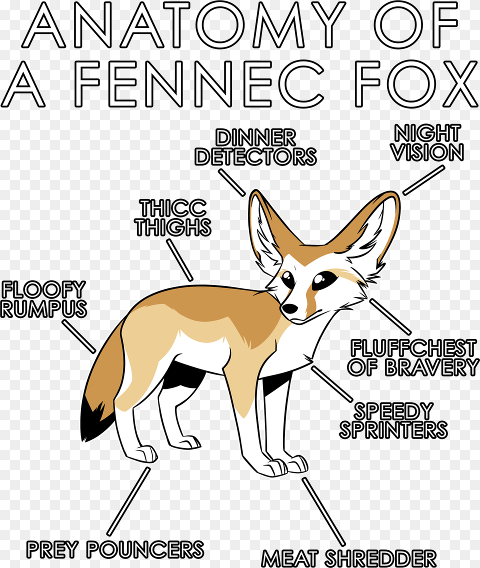 Fennec Fox, Animal, Canine, Kit Fox, Mammal Png Image