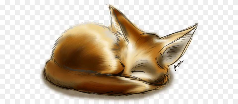 Fennec Fox By Jessay Bunnybee D3ivf6z Fennec Fox, Animal, Canine, Kit Fox, Mammal Free Png
