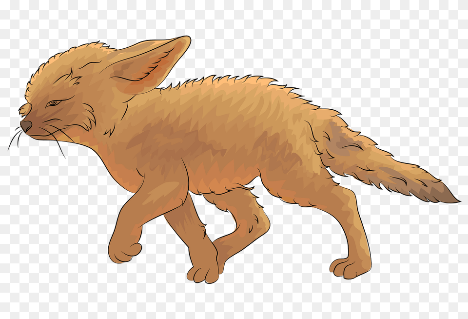 Fennec Fox Clipart, Animal, Canine, Coyote, Kit Fox Png Image