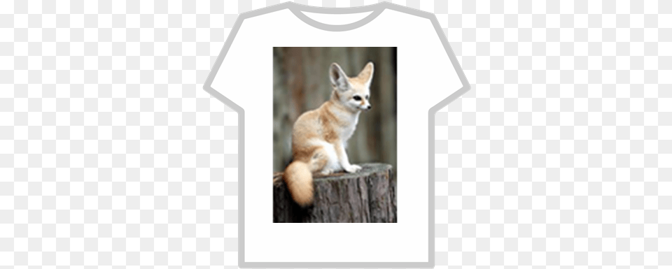 Fennec Fox Roblox Beautiful Fennec Fox, Tree, Plant, Animal, Mammal Free Png