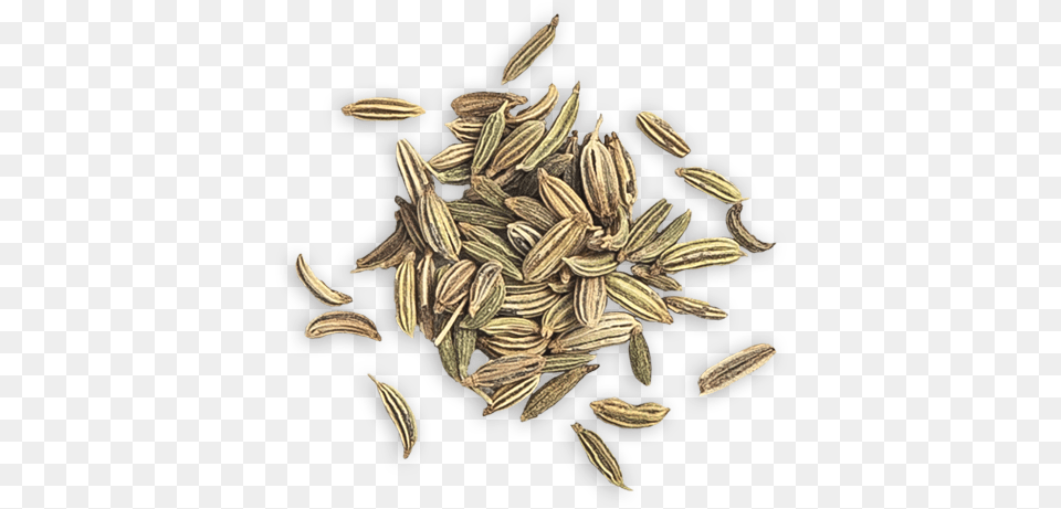 Fennel Seed Whole Grain, Food, Plant, Spice, Cumin Free Png