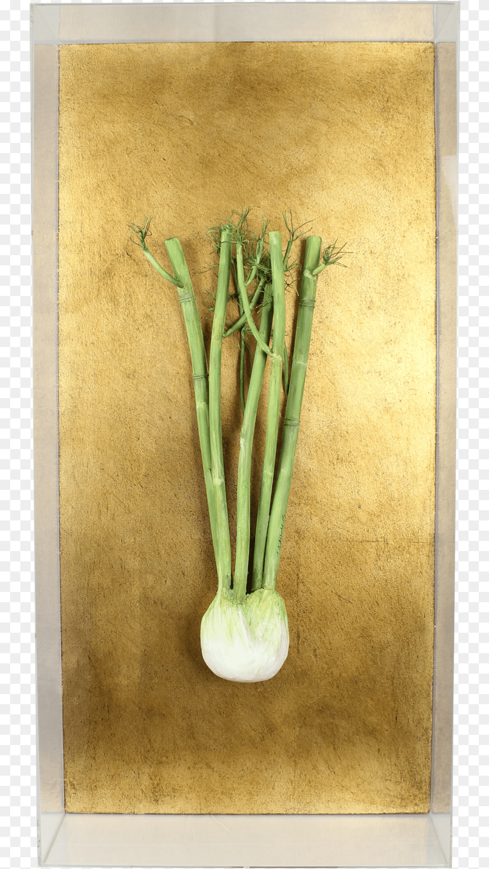 Fennel Still Life, Plant, Food, Produce Free Transparent Png
