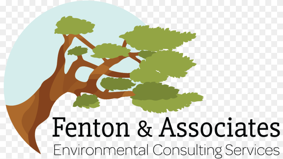 Fenton Amp Associates Design, Tree, Plant, Leaf, Vegetation Png Image