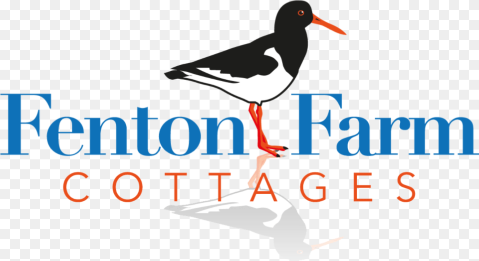 Fenton Farm Cottages Attempted Purchase Of Time Warner Cable By Comcast, Animal, Beak, Bird, Stork Free Png