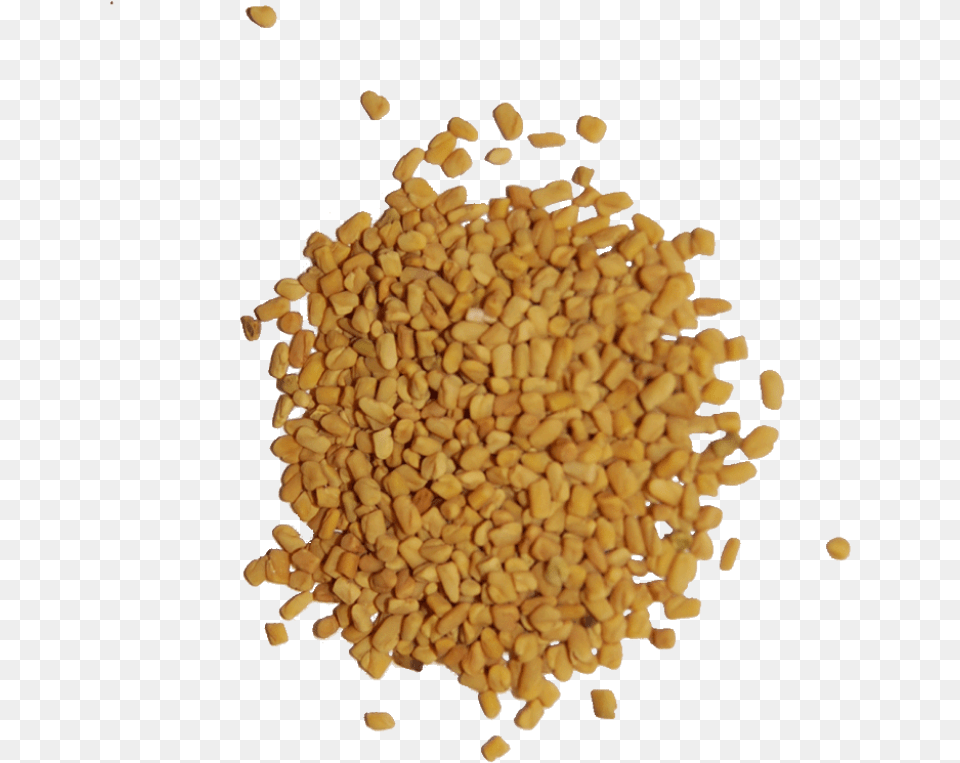 Fenugreek Seeds Download Fenugreek, Plant, Pollen, Food, Produce Free Transparent Png