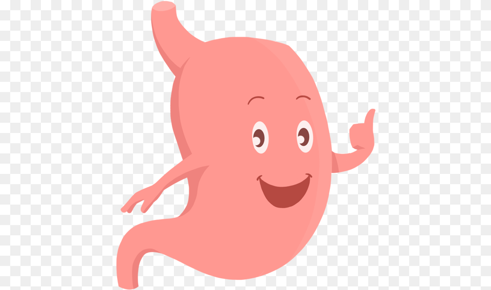 Fenulife Healthy Happy Stomach, Baby, Person, Animal, Mammal Png Image