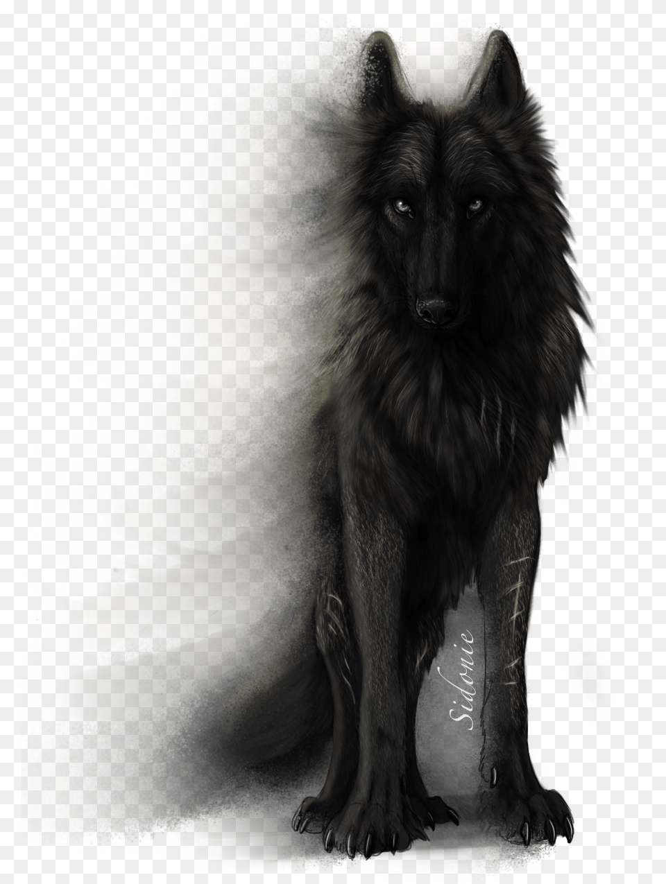 Fera Corda By Sidonie Black Wolf White Background, Animal, Mammal, Canine, Dog Free Png