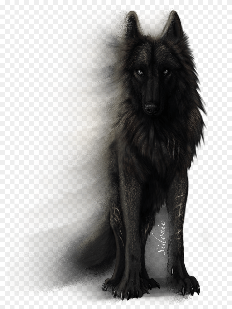 Fera Corda By Sidonie Sirius Black Dog Drawing, Animal, Mammal, Wolf, Canine Free Png