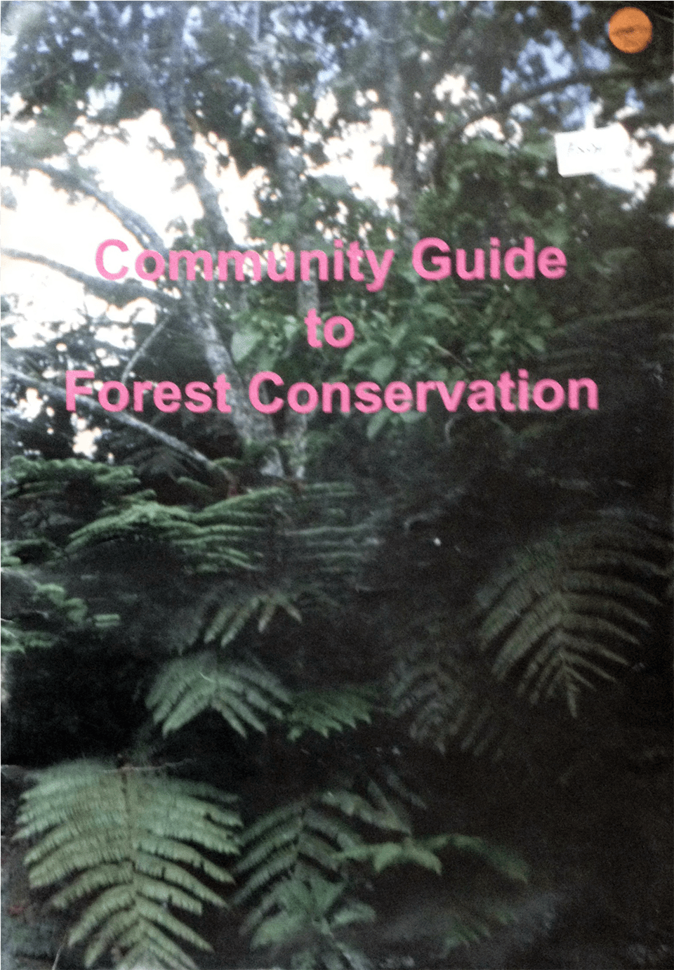 Fern, Vegetation, Tree, Rainforest, Plant Png Image