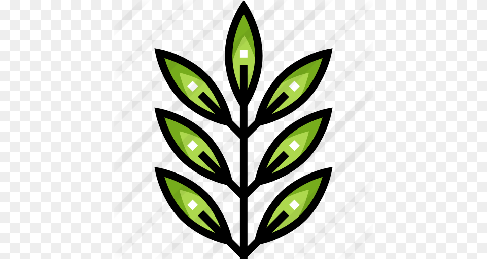 Fern, Green, Light, Leaf, Plant Free Png Download