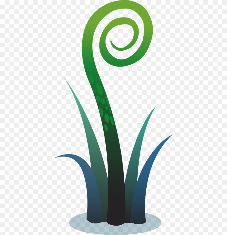 Fern, Spiral, Coil, Food, Leek Free Png