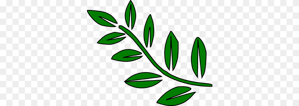 Fern Art, Plant, Pattern, Leaf Free Png