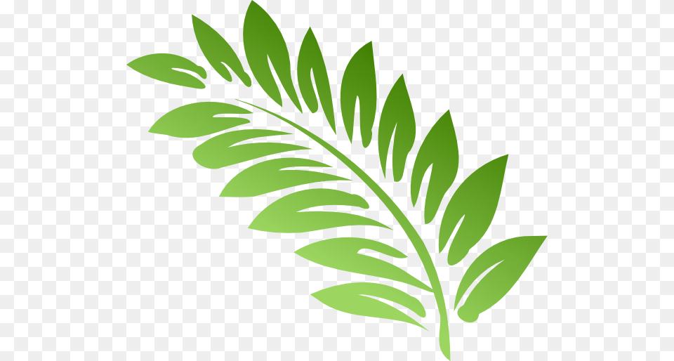 Fern Clip Art At Clker Fern Clipart, Herbs, Plant, Leaf, Green Free Transparent Png