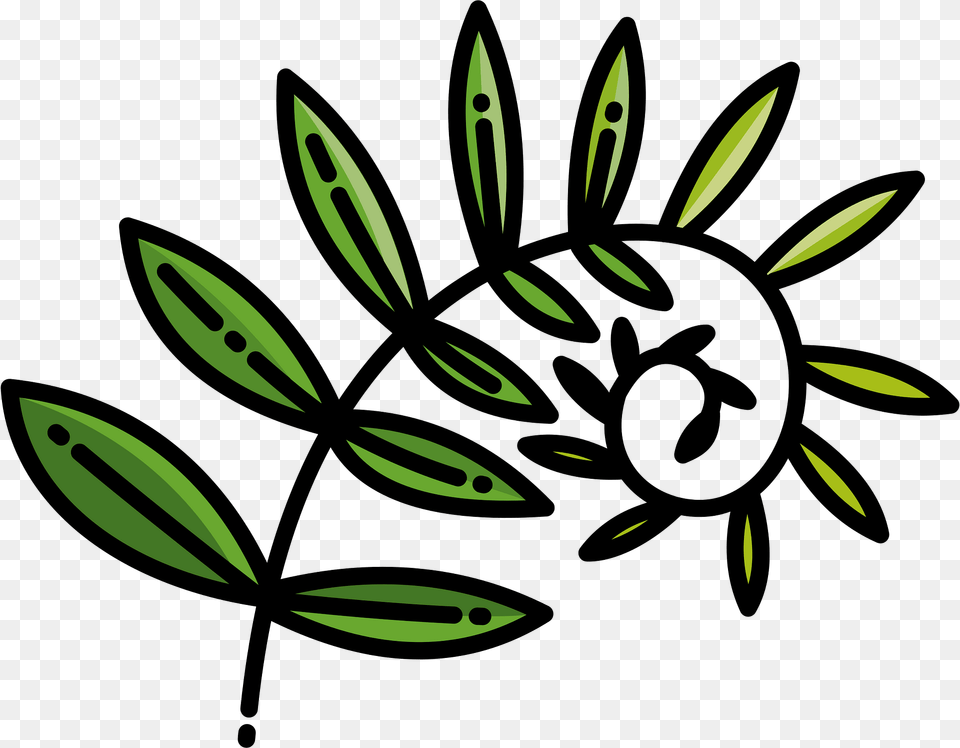 Fern Clipart, Green, Leaf, Plant, Flower Free Transparent Png