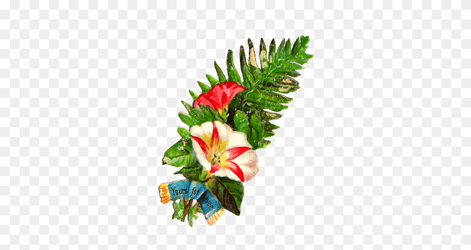 Fern Clipart Artificial Flower, Flower Arrangement, Flower Bouquet, Leaf, Plant Png Image