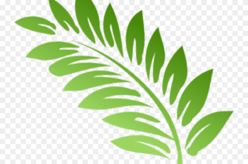 Fern Clipart Foliage Clip Art Fern Leaves, Green, Herbal, Herbs, Leaf Png