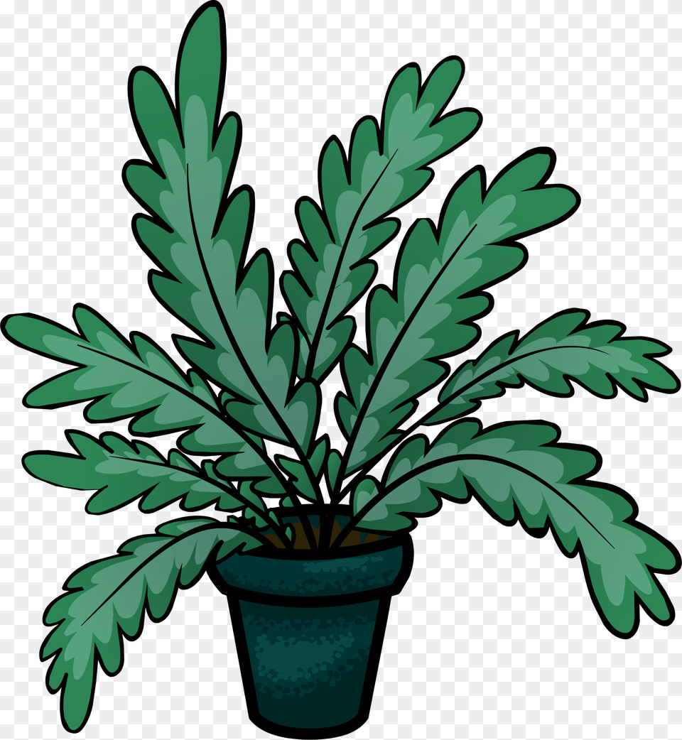 Fern Club Penguin Wiki Fandom Powered, Leaf, Plant, Potted Plant Free Png