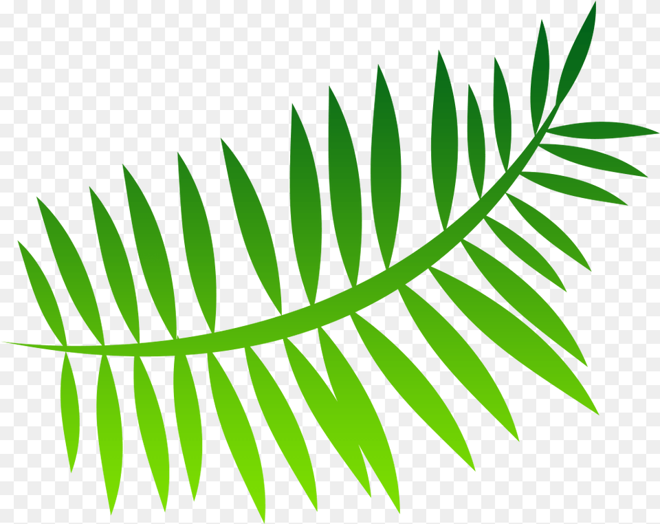 Fern Image Palm Leaf Cartoon Transparent, Green, Plant, Vegetation Free Png