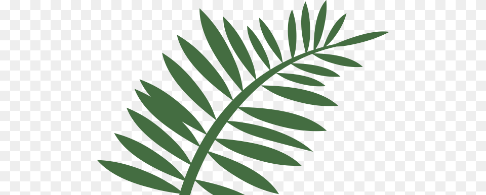 Fern Leaf Shower Curtain, Plant, Herbal, Herbs, Sea Life Free Png