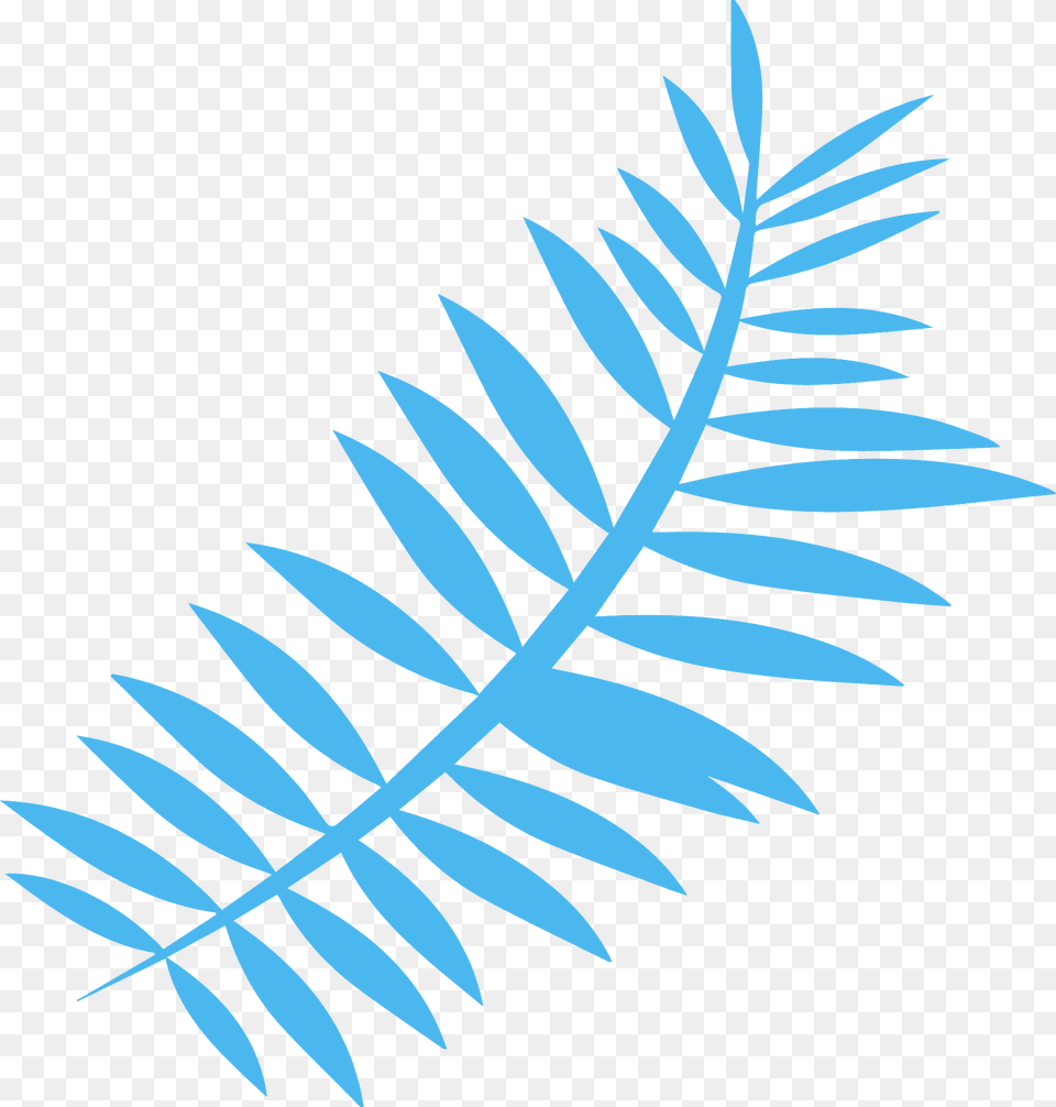 Fern Leaf Silhouette, Art, Graphics, Pattern, Plant Free Png
