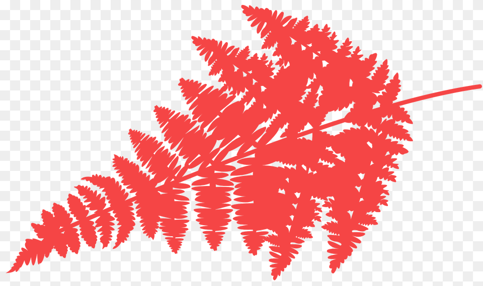 Fern Leaf Silhouette, Plant, Art Png Image