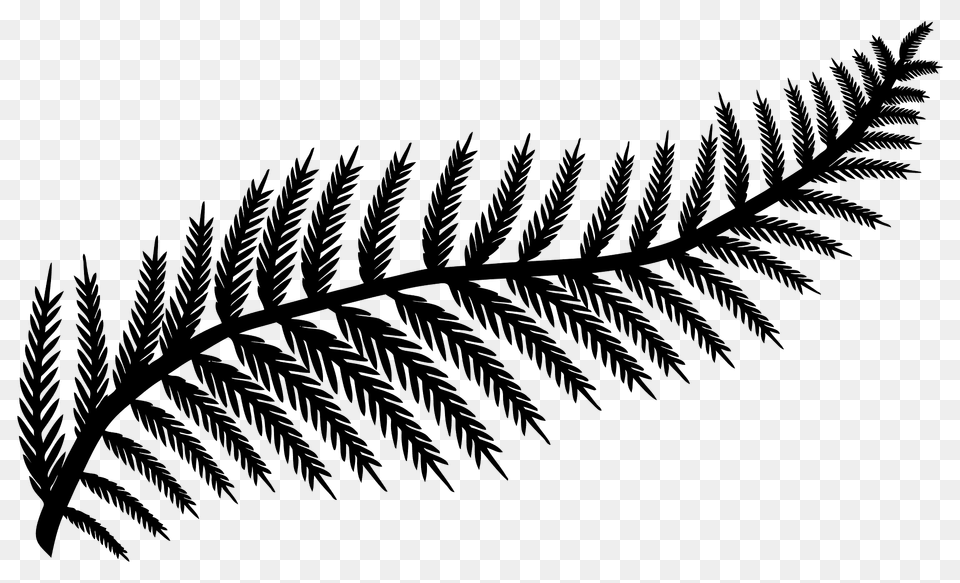 Fern Leaf Silhouette, Plant, Pattern, Outdoors, Tree Free Transparent Png