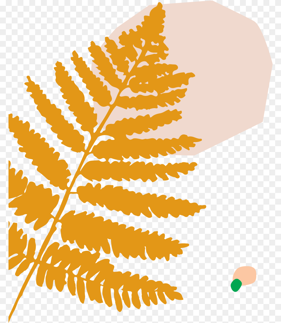 Fern Leaf Watercolor Art Print, Plant Free Transparent Png