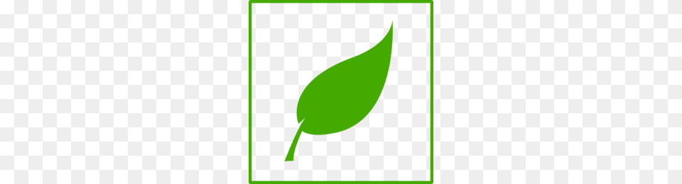 Fern Leaves Clipart, Leaf, Plant, Sprout, Bud Png