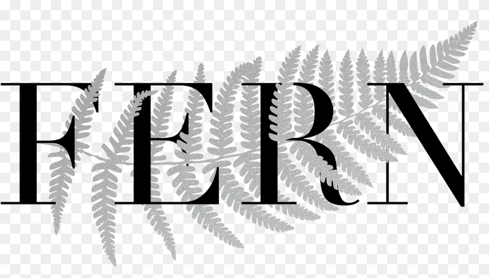 Fern Marketing Plans, Plant, Text, Animal, Fish Free Png Download