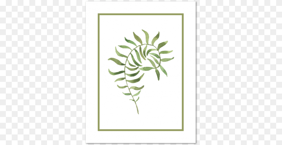 Fern Note Carddata Captionclass Visual Arts, Plant, Art, Floral Design, Graphics Png