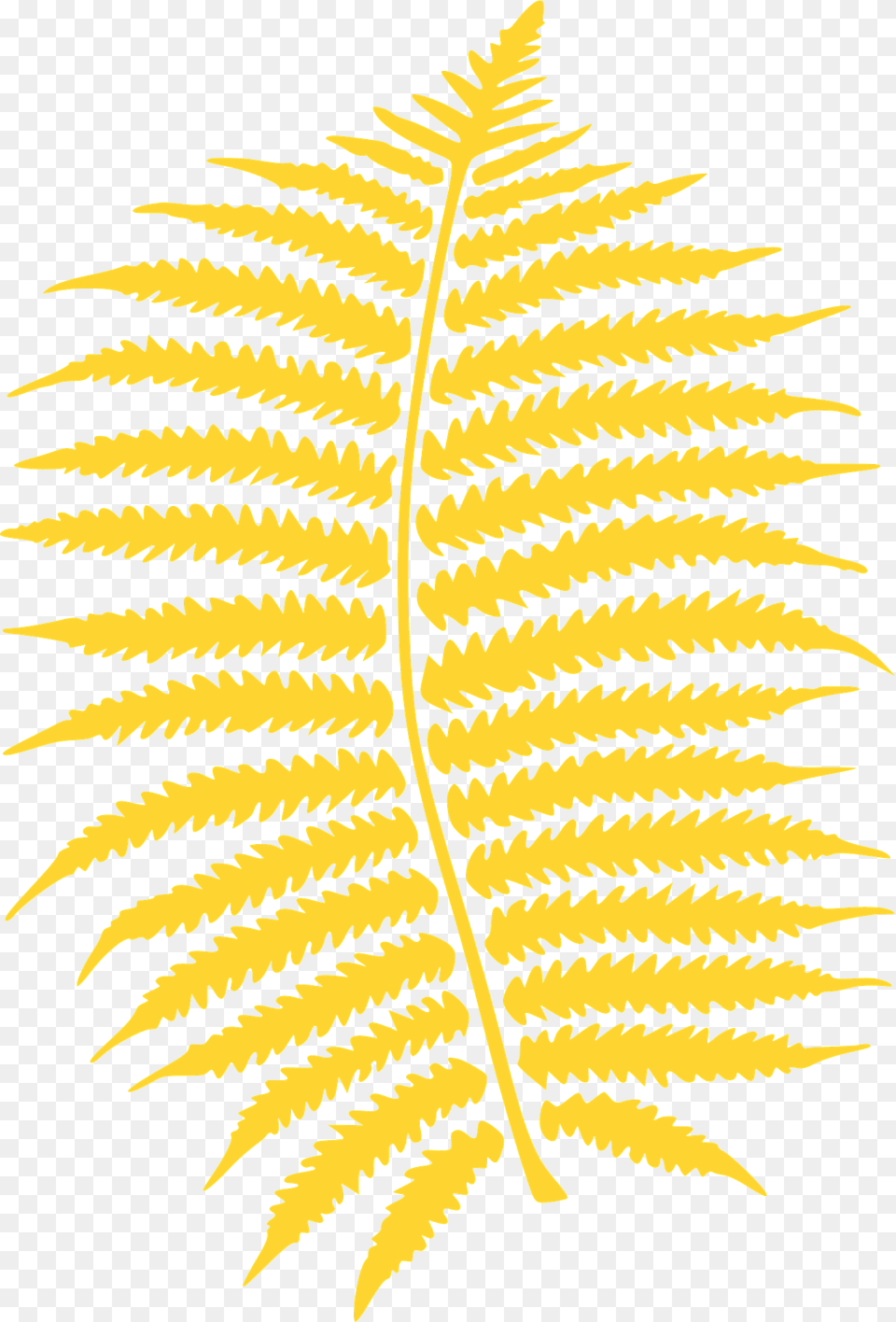 Fern Silhouette, Leaf, Plant Free Transparent Png