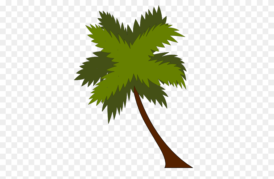 Fern Tree Clipart, Leaf, Palm Tree, Plant, Vegetation Free Png