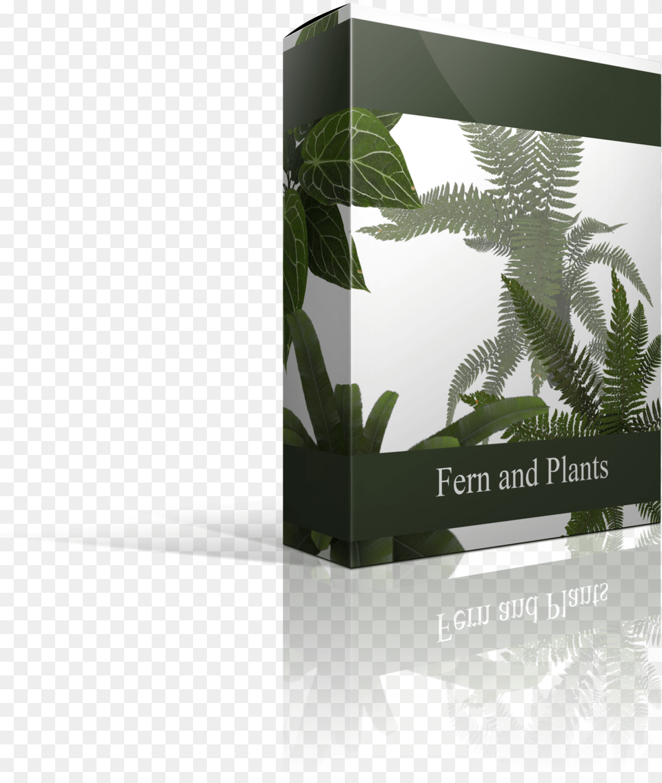 Ferns And Bushes Overlays Vertical, Herbal, Herbs, Plant, Leaf Free Png Download