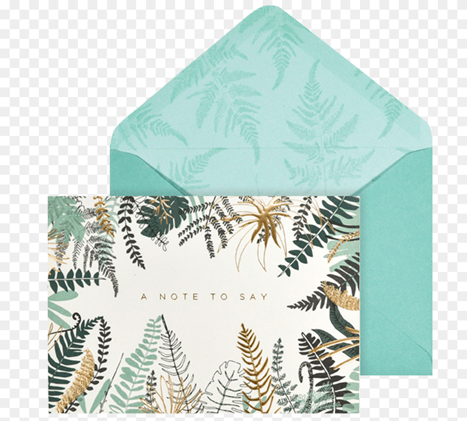 Ferns Note Cards, Envelope, Mail, Plant Free Png Download