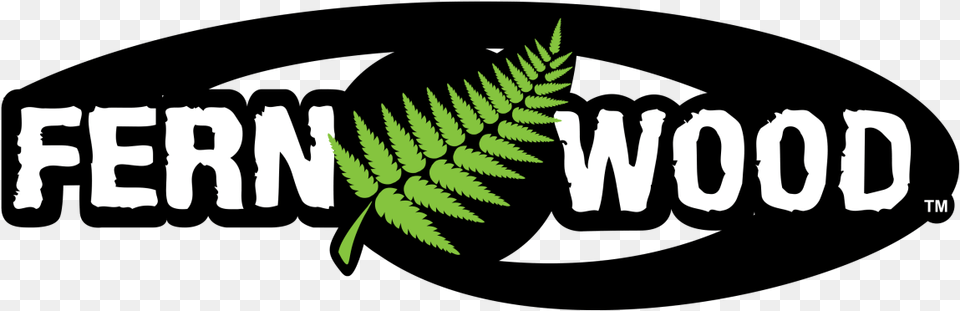 Fernwood Tree Fern Fibre Supplied By Bio Leaf Plant Free Png Download