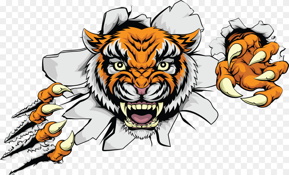Ferocious Clipart Indian Tiger Non Copyright Of Tiger Feet, Hardware, Electronics, Hook, Claw Free Transparent Png
