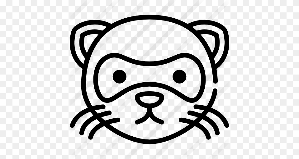 Ferret, Gray Free Png Download