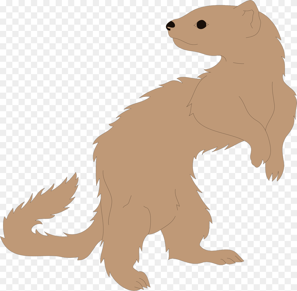 Ferret Clipart, Animal, Mammal, Pig, Wildlife Png