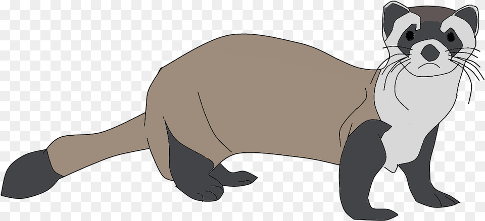 Ferret Clipart Black Footed Ferret Clipart, Animal, Mammal, Wildlife, Baby Free Png Download